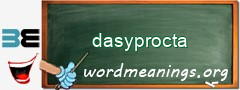 WordMeaning blackboard for dasyprocta